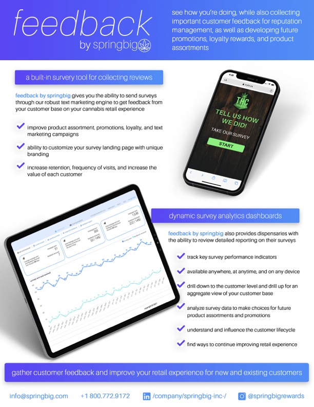 Feedback_springbig_fact_sheet.jpg